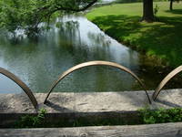 Hoops 119