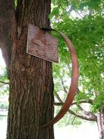 Hoops 129, Up, View 1