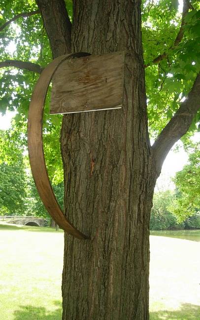 Hoops 130, Up, View 2