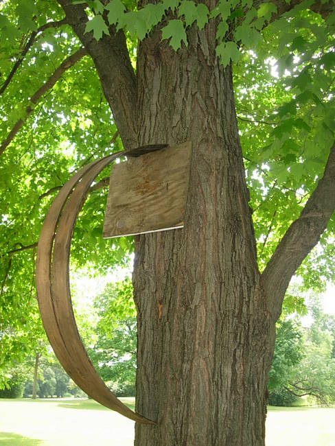 Hoops 132, Up, View 4