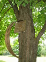 Hoops 132, Up, View 4