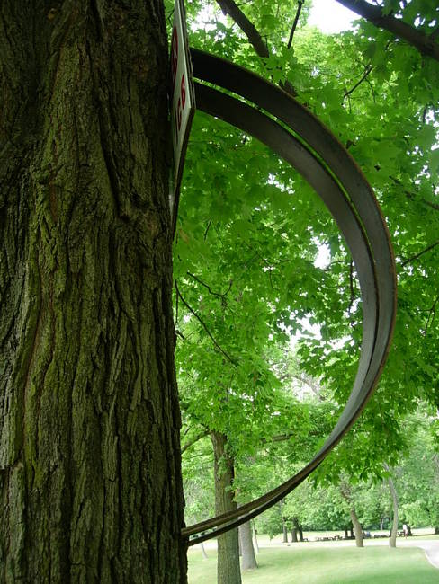 Hoops 135, Up, View 6