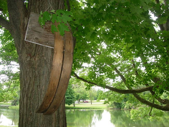 Hoops 136, Up, View 7