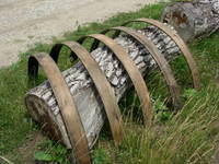 Hoops 38
