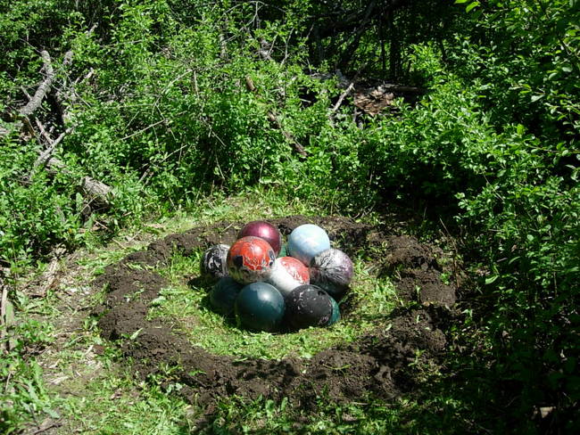 New Growth, Bursting, View 1