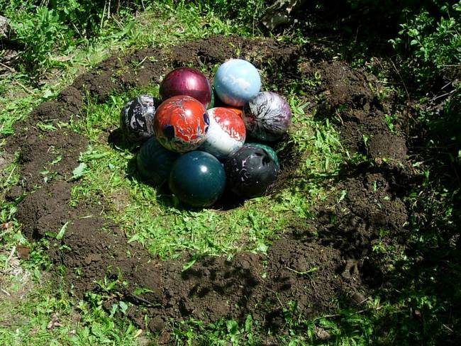 New Growth, Bursting, View 2