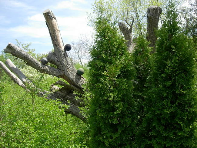 New Growth, Up, View 1