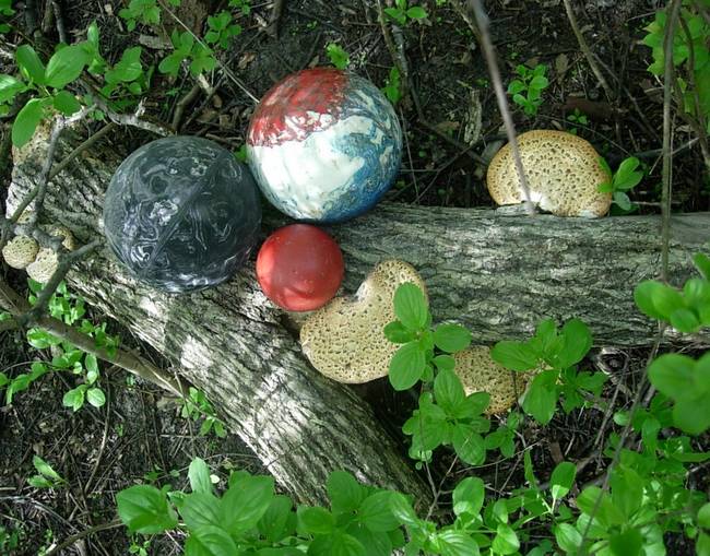 New Growth, Floor, View 1