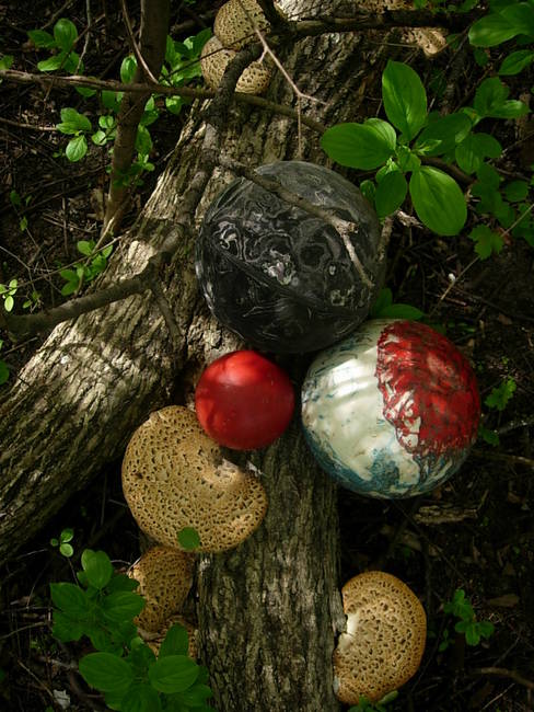 New Growth, Floor, View 3