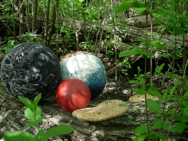 New Growth, Floor, View 2