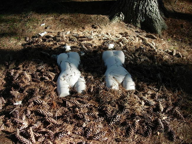 Nymph, Lake Emma, Cones 1