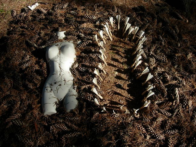 Nymph, Lake Emma, Cones 11