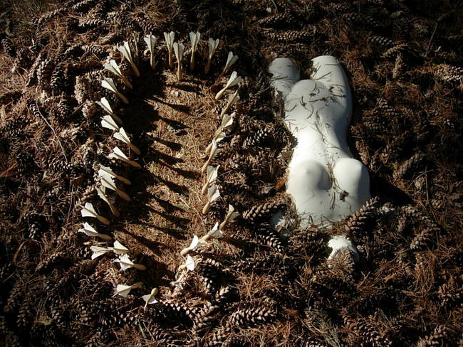 Nymph, Lake Emma, Cones 12