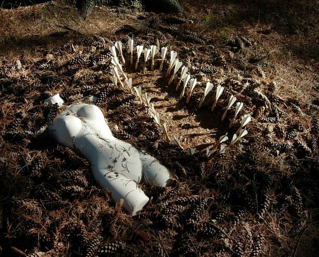 Nymph, Lake Emma, Cones 13