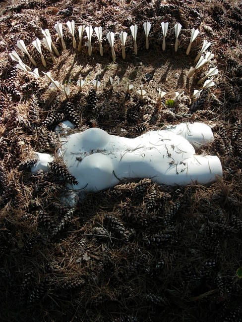 Nymph, Lake Emma, Cones 16