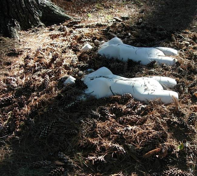 Nymph, Lake Emma, Cones 2