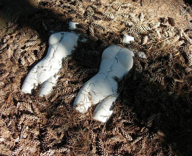 Nymph, Lake Emma, Cones 3