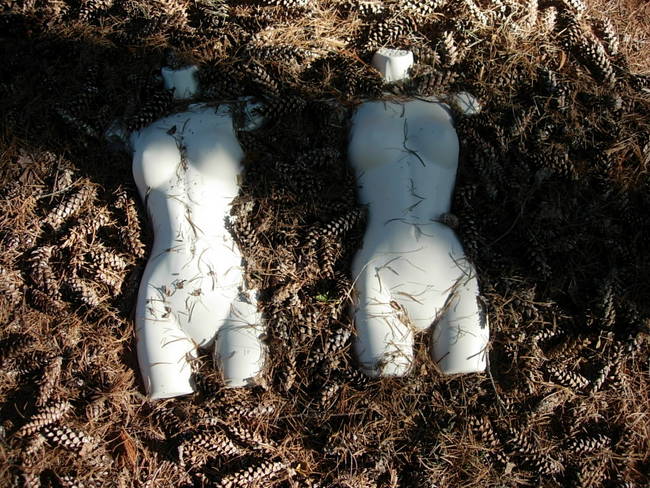 Nymph, Lake Emma, Cones 4