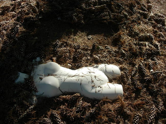 Nymph, Lake Emma, Cones 5