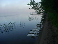 Nymph, Lake Emma 19