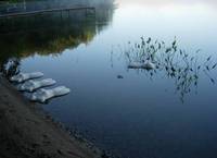 Nymph, Lake Emma 23