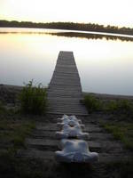 Nymph, Lake Emma 7