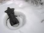 Nymph, Dark Nude, Winter 5
