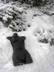 Nymph, Dark Nude, Winter 8