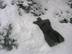 Nymph, Dark Nude, Winter 9
