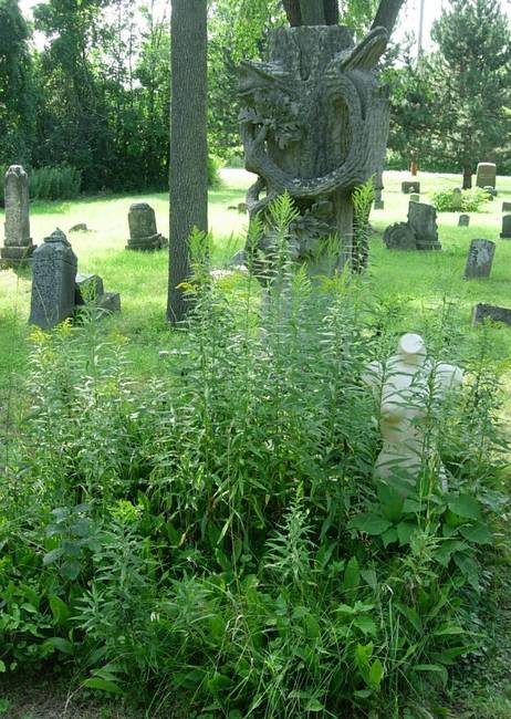 Nymph in Graveyard 7