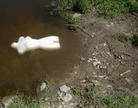 Nymphs 9