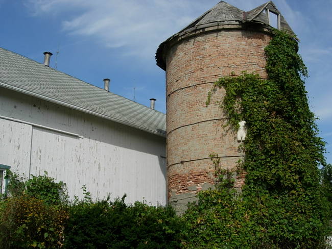 Nymphs, Susan's Farm 1