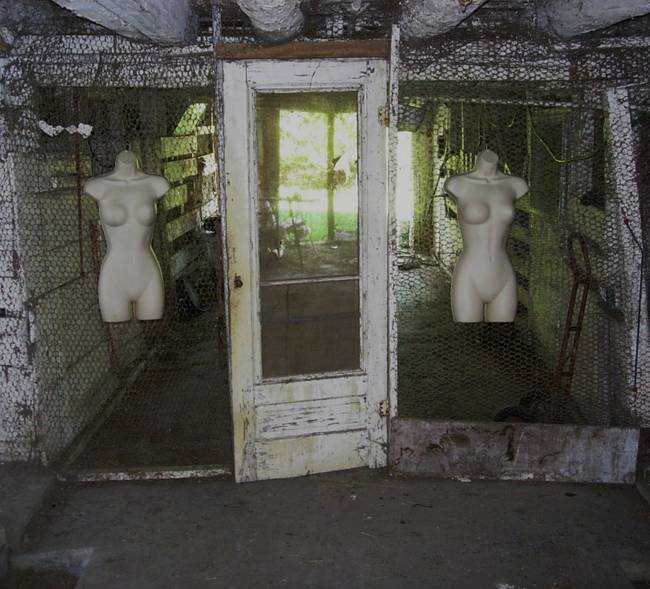 Nymphs, Susan's Farm 12