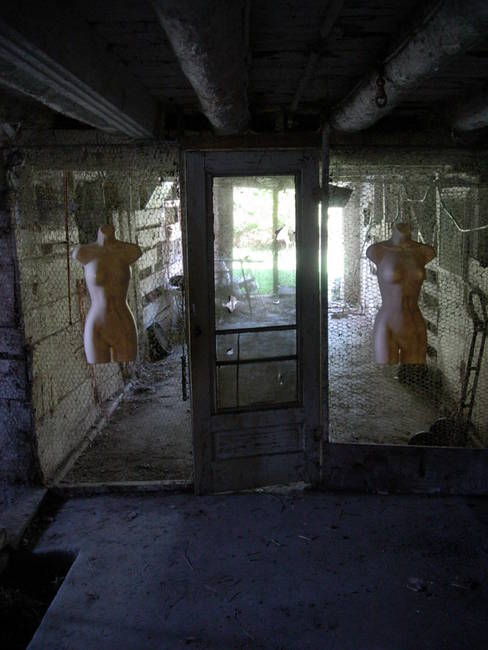 Nymphs, Susan's Farm 13