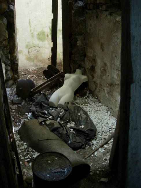 Nymphs, Susan's Farm 16