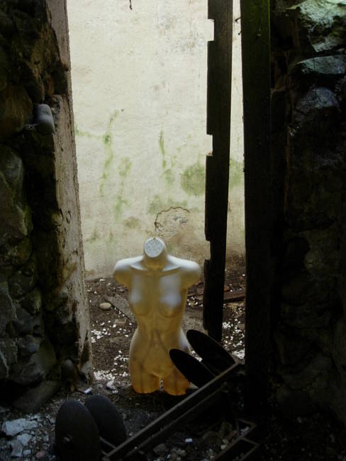 Nymphs, Susan's Farm 17