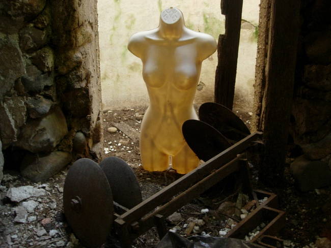 Nymphs, Susan's Farm 18