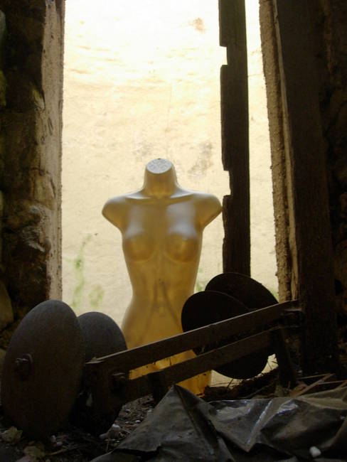 Nymphs, Susan's Farm 19