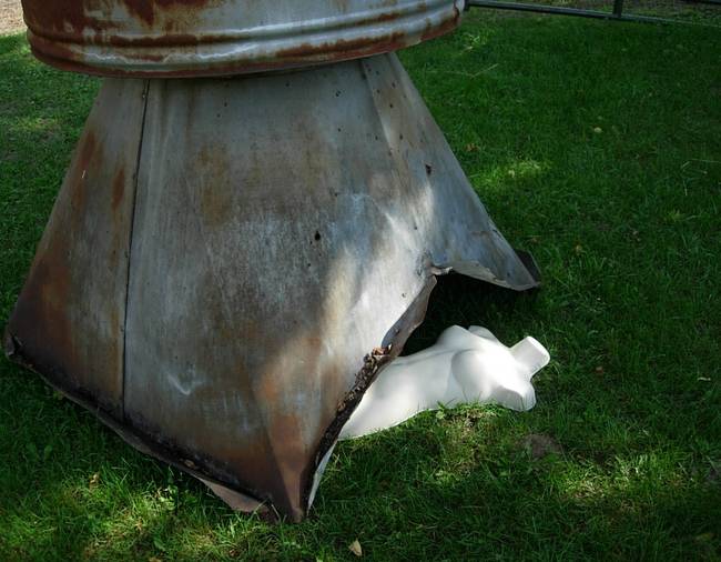 Nymphs, Susan's Farm 21