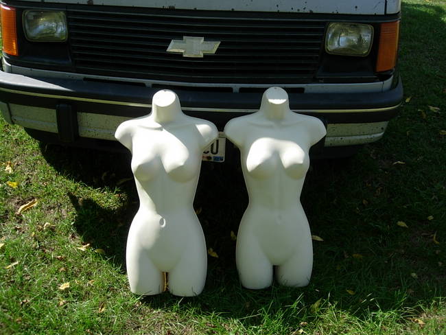 Nymphs, Susan's Farm 22