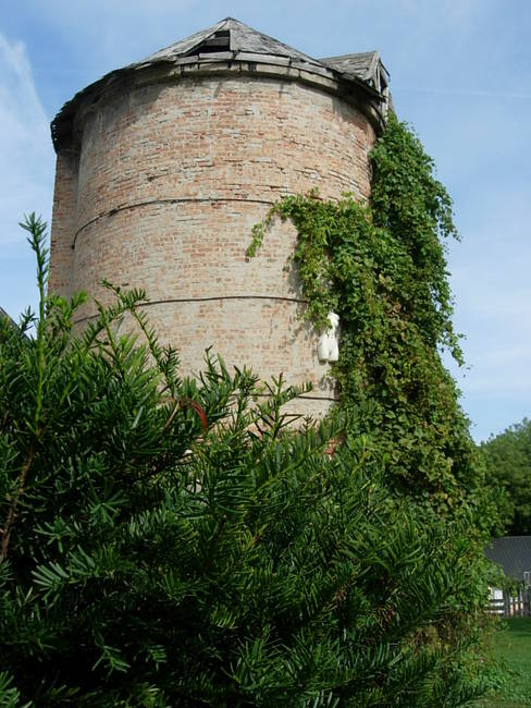 Nymphs, Susan's Farm 4