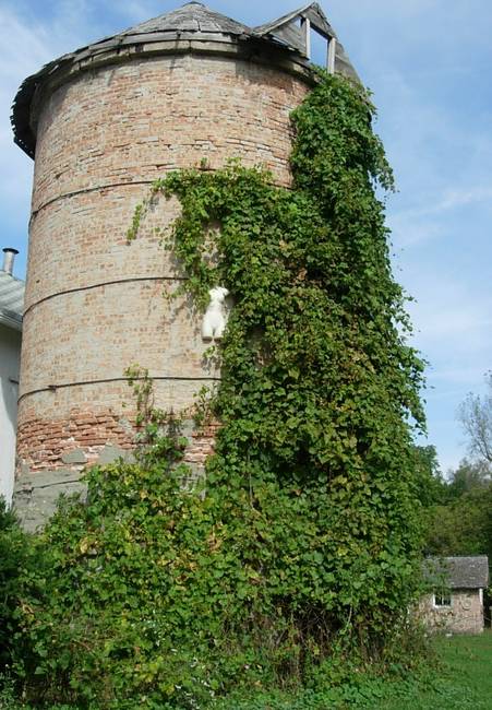 Nymphs, Susan's Farm 5