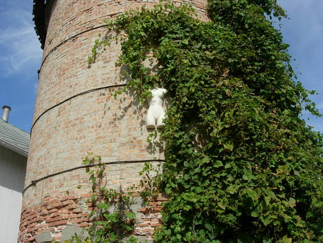 Nymphs, Susan's Farm 7