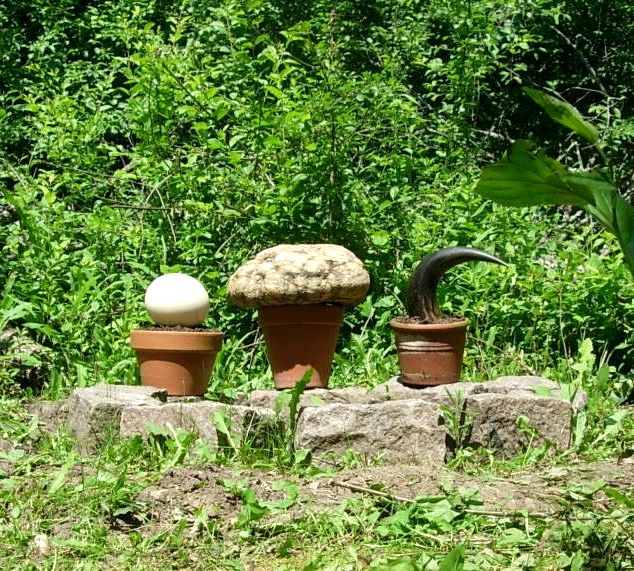 Return to the Dig, Variation 1B, View 4