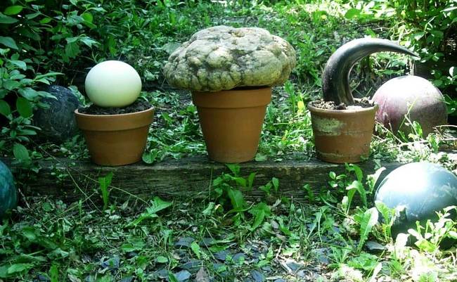 Return to the Dig, Variation 4, View 1