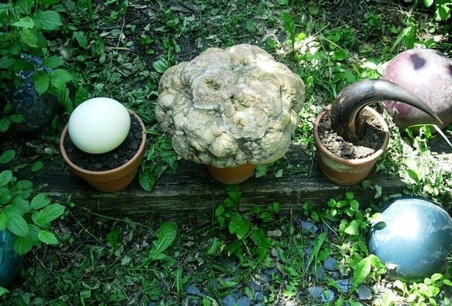 Return to the Dig, Variation 4, View 2