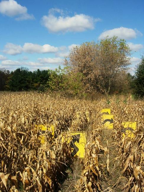 Signage, Corn Field, Susan's Farm 2