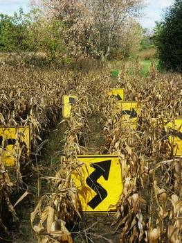 Signage, Corn Field, Susan's Farm 3