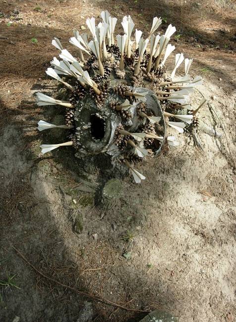 Swarm, Cone Creature 5