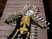 Swarm Costume 6